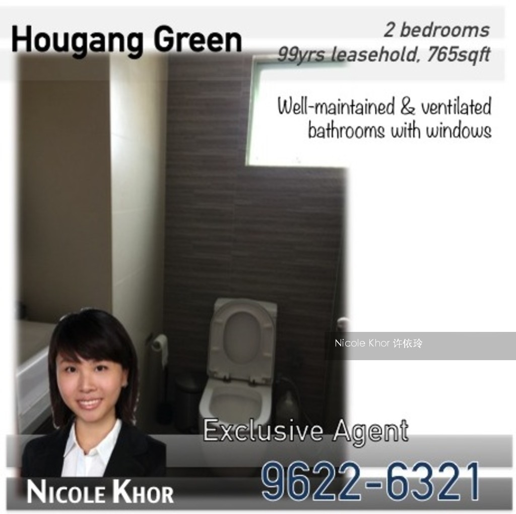 Hougang Green (D19), Apartment #117578282